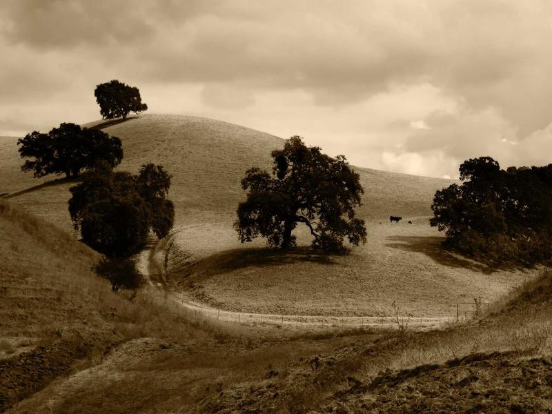 sudoku game no download screenshot 4